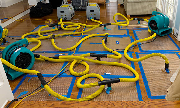 Professional Water Damage Repair technician working in Orange, CA